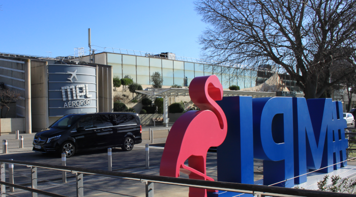 chauffeur pour transferts aéroports gares et hôtels